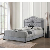 Frankie Gray Velvet Queen Bed Model 26410Q By ACME Furniture
